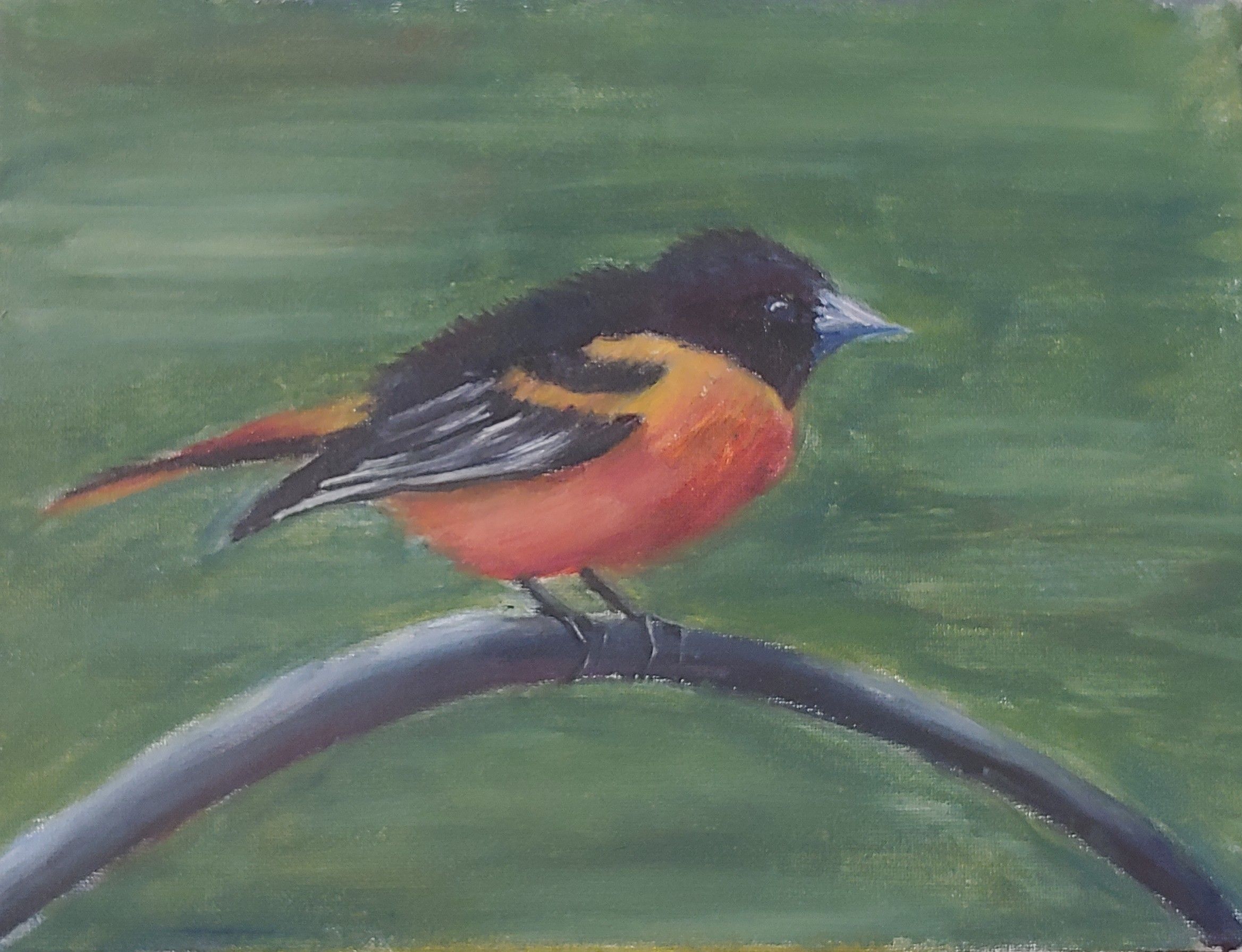red orange yellow and black bird acrylic painting